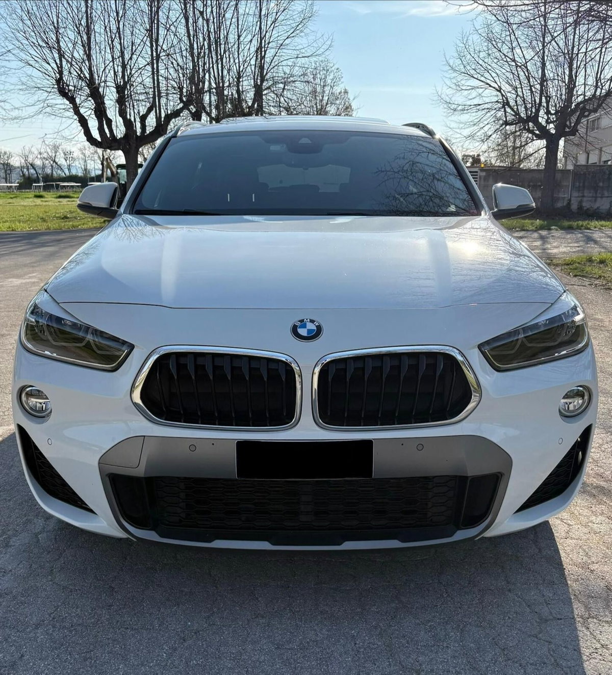 BMW X2 xDrive20d Msport (2)