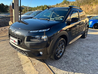 Citroen C4 Cactus BlueHDi 100 S&S Shine (2)