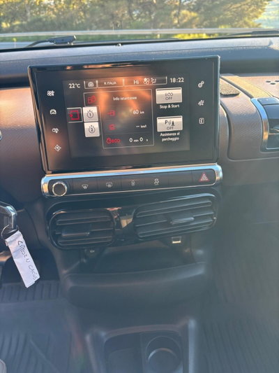 Citroen C4 Cactus BlueHDi 100 S&S Shine (20)