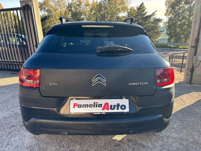 Citroen C4 Cactus BlueHDi 100 S&S Shine (3)