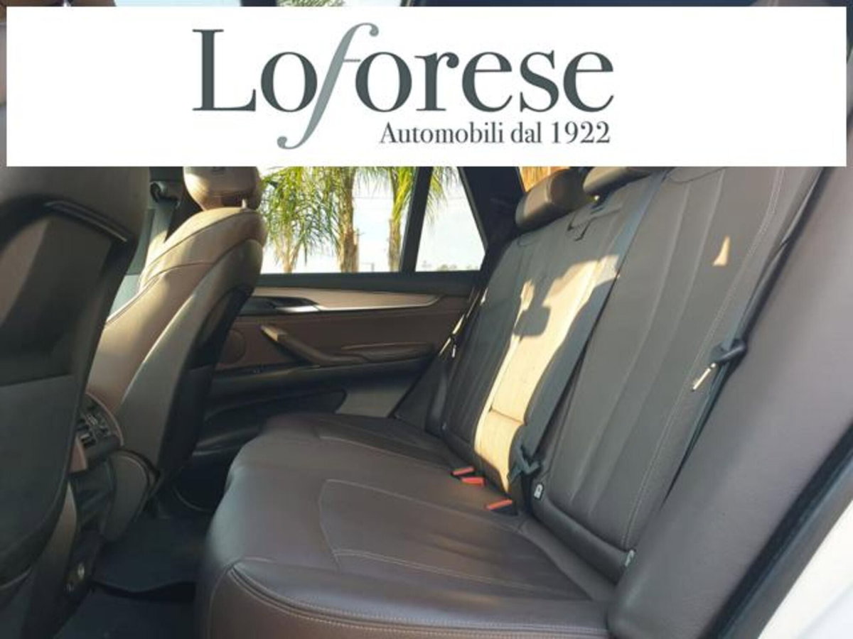 BMW X5 xDrive25d Luxury (14)