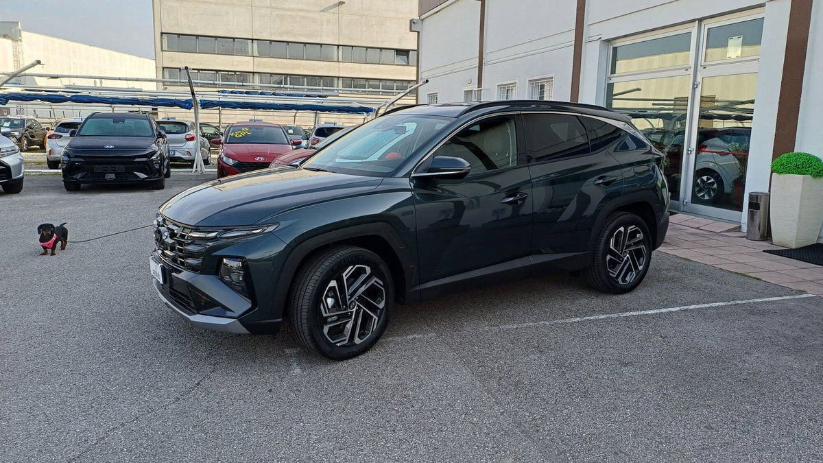 Hyundai Tucson 1.6 hev Exellence 2wd 239cv auto