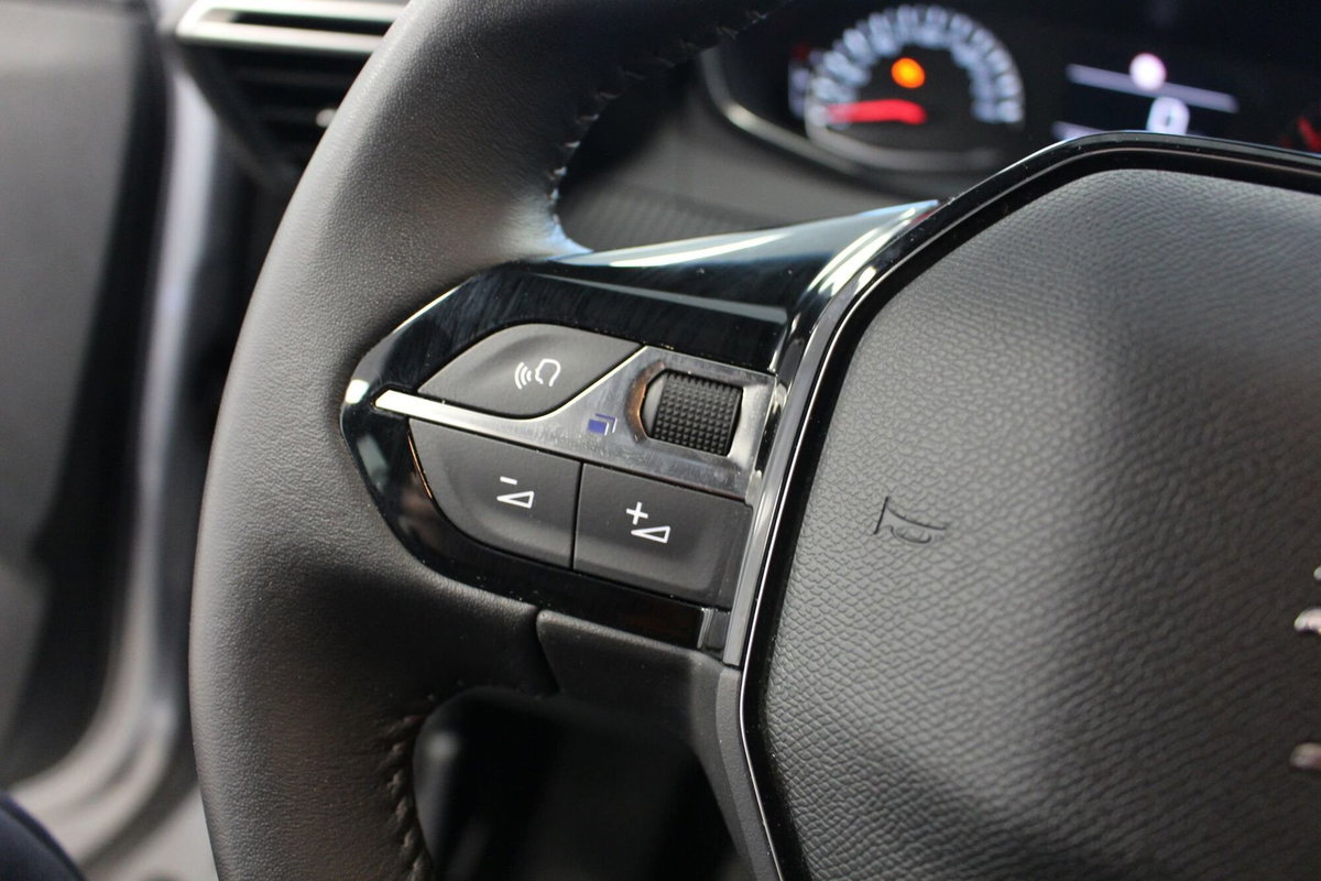 Peugeot 2008 1.2 puretech Active s&s 100cv (8)