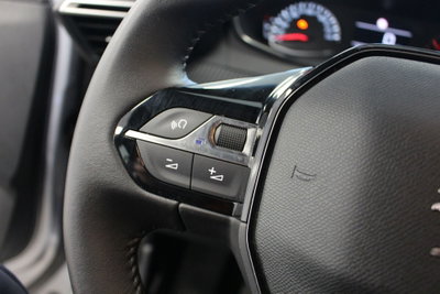 Peugeot 2008 1.2 puretech Active s&s 100cv (8)