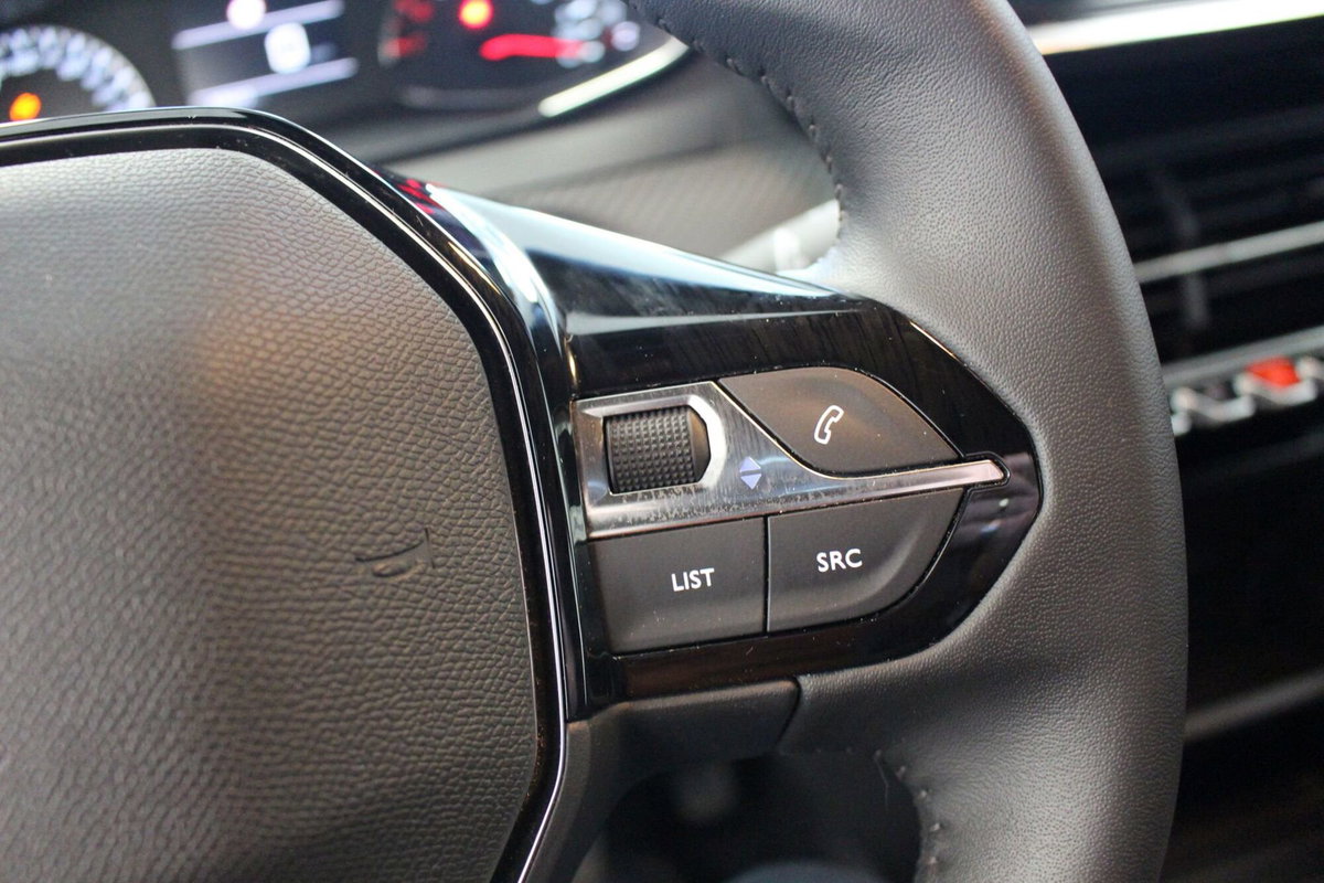Peugeot 2008 1.2 puretech Active s&s 100cv (9)