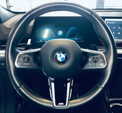 BMW X2 sdrive 20i 48V MSport auto (20)