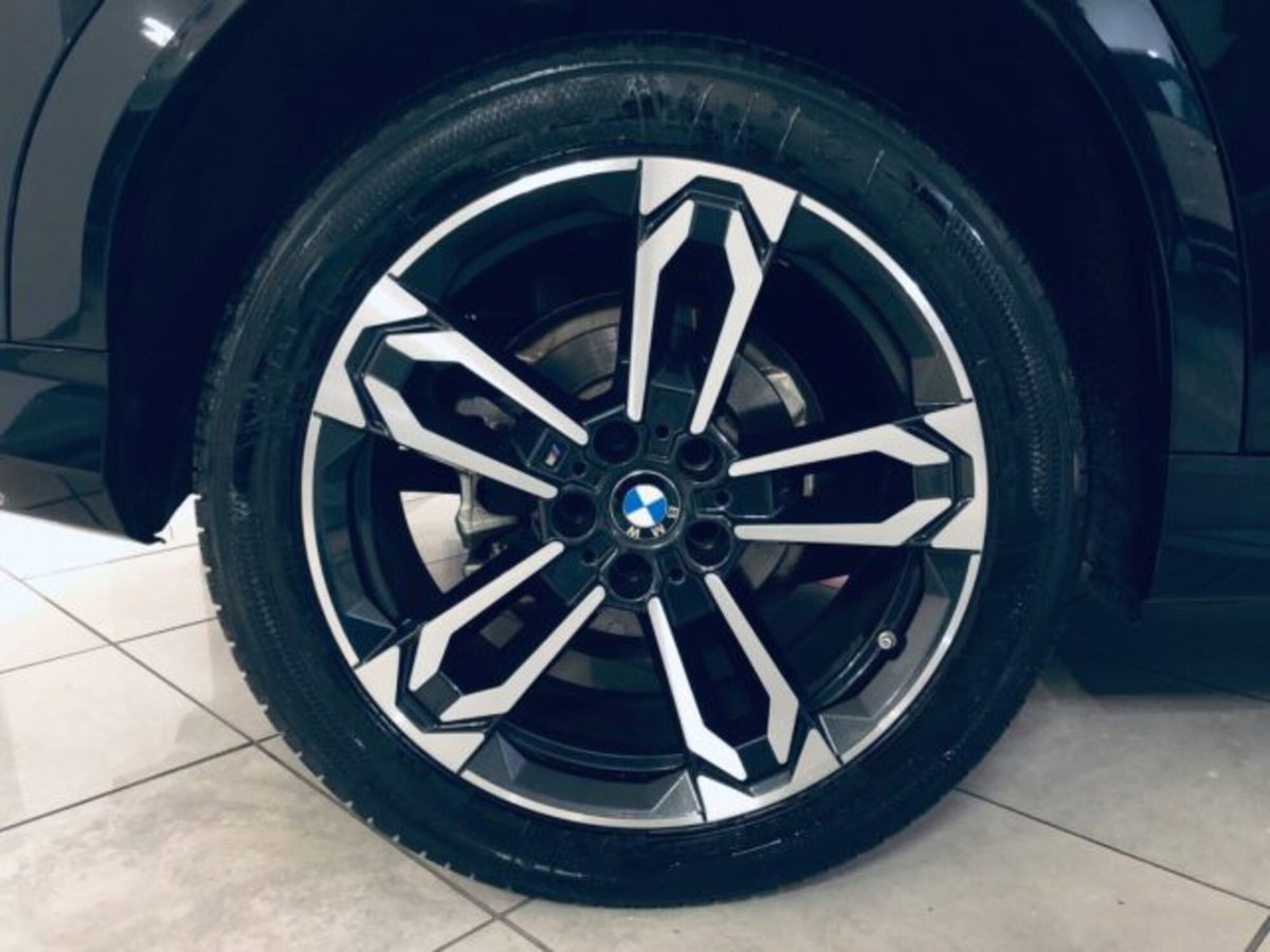 BMW X2 sdrive 20i 48V MSport Pro auto (5)