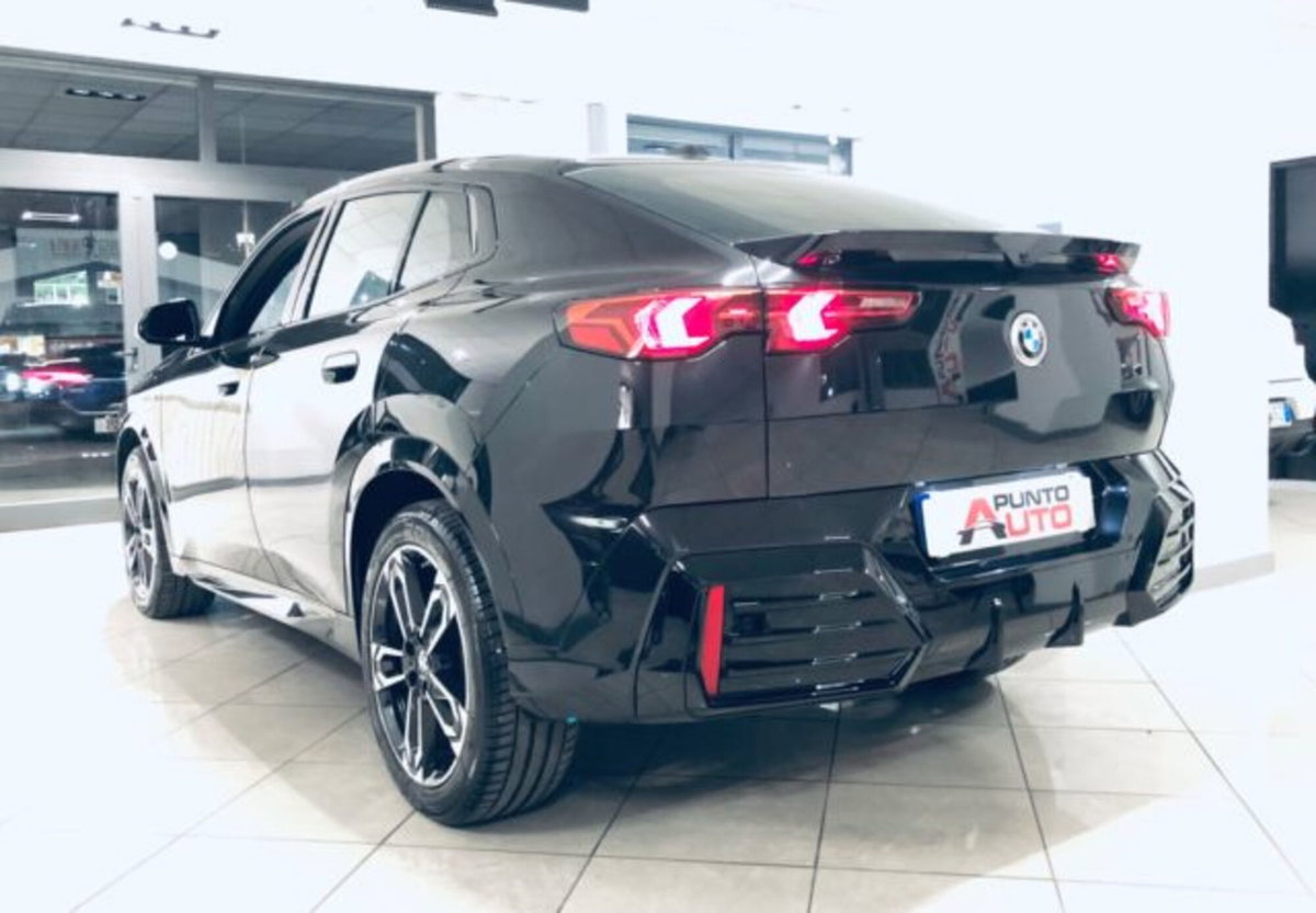 BMW X2 sdrive 20i 48V MSport Pro auto (6)