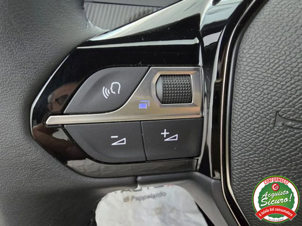 Peugeot 2008 PureTech 100 S&S Allure (12)