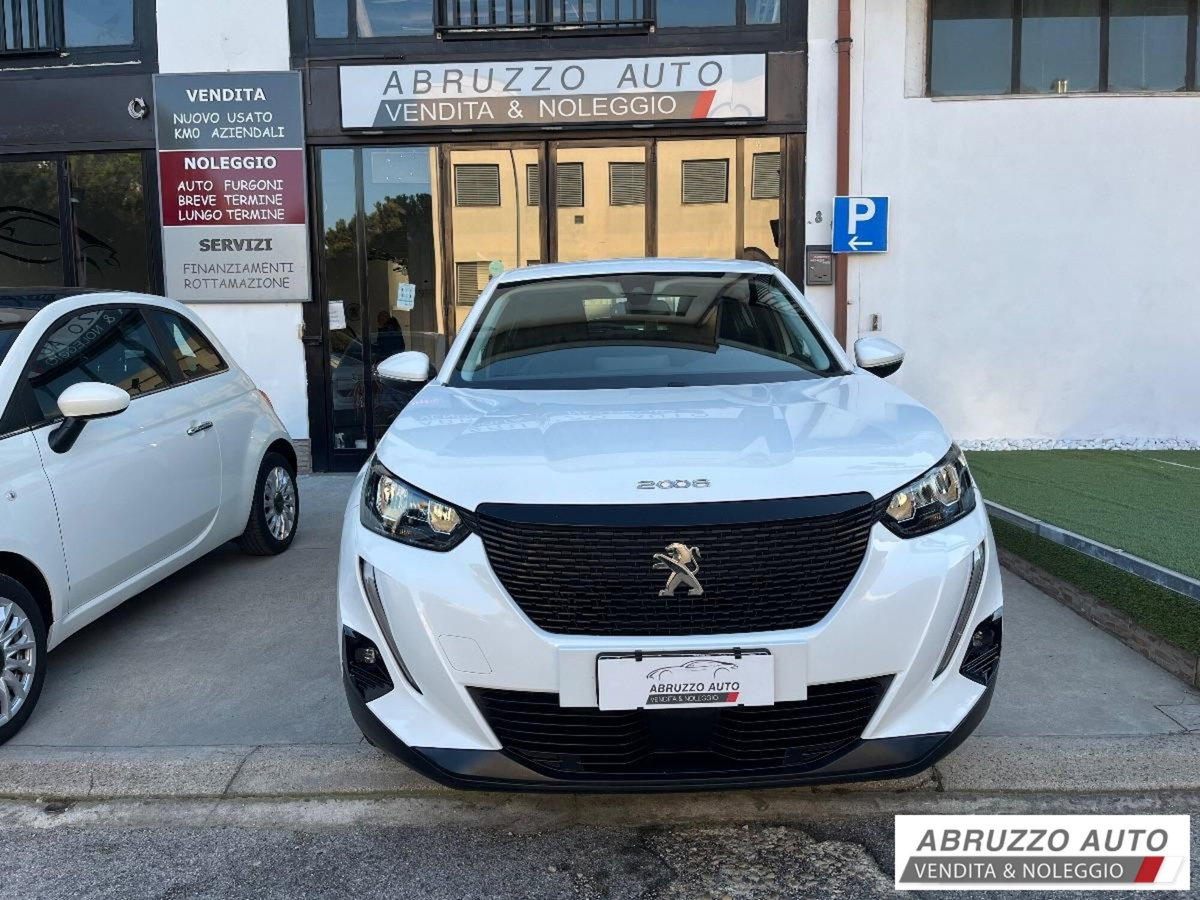 Peugeot 2008 PureTech 100 S&S Active (2)