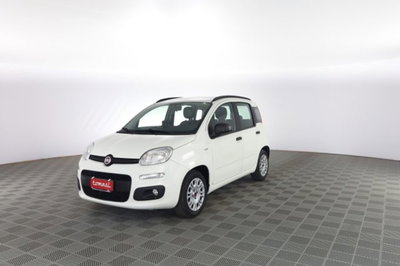 Fiat Panda 1.2 EasyPower Easy usata