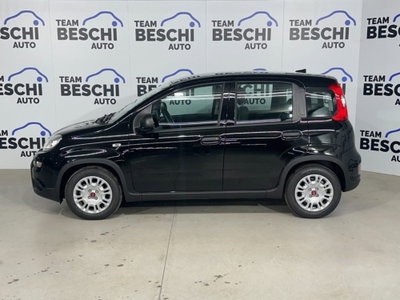 Fiat Panda 1.0 FireFly S&S Hybrid City Cross (3)