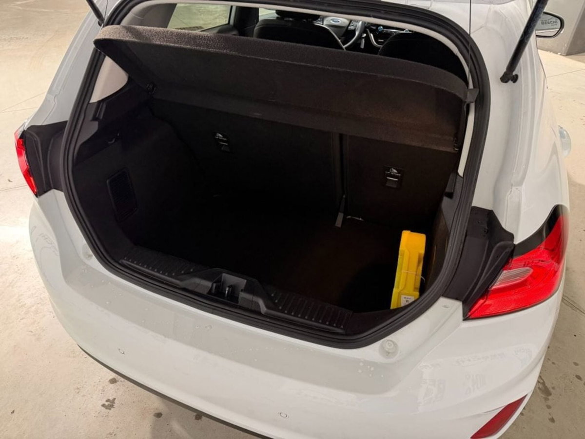 Ford Fiesta 1.1 75 CV 5 porte Titanium (12)