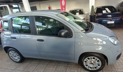 Fiat Panda 1.0 firefly hybrid s&s 70cv (2)