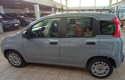 Fiat Panda 1.0 firefly hybrid s&s 70cv (4)