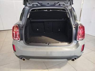 MINI Mini Countryman 2.0 Cooper S Untamed Edition Countryman ALL4 (11)