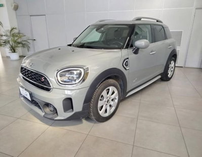 MINI Mini Countryman 2.0 Cooper S Untamed Edition Countryman ALL4 (2)