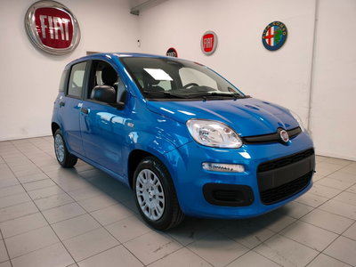 Fiat Panda Cross Cross 1.0 FireFly S&S Hybrid nuova