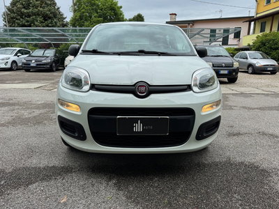 Fiat Panda 1.0 FireFly S&S Hybrid Easy usata