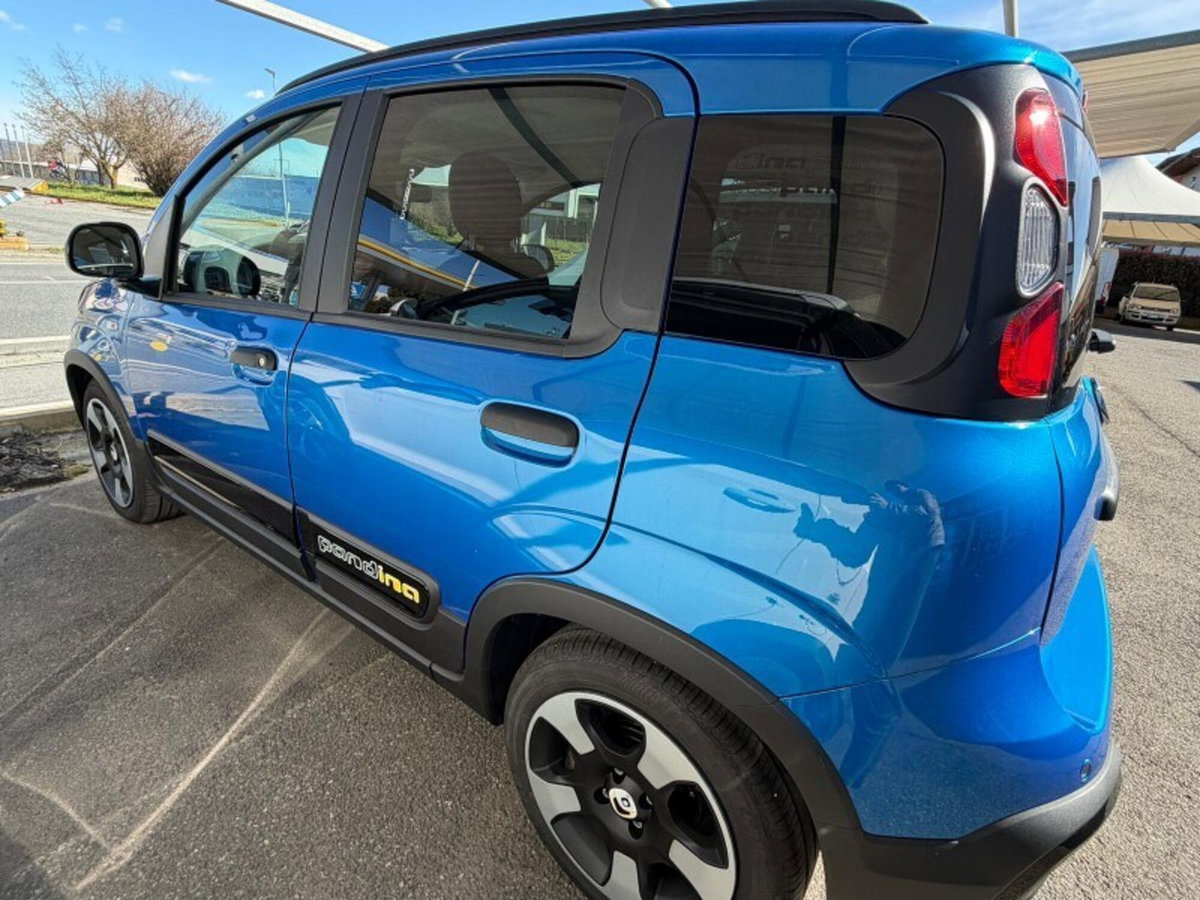 Fiat Panda Cross Cross 1.0 FireFly S&S Hybrid (6)