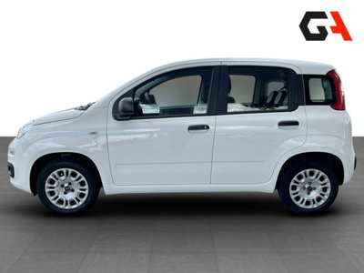 Fiat Panda 1.2 Easy (7)
