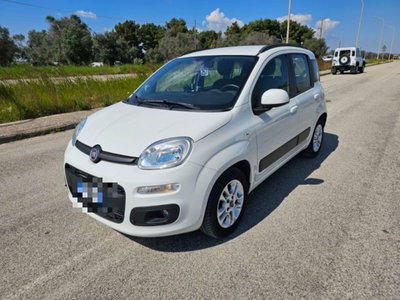 Fiat Panda 1.2 EasyPower Lounge usata