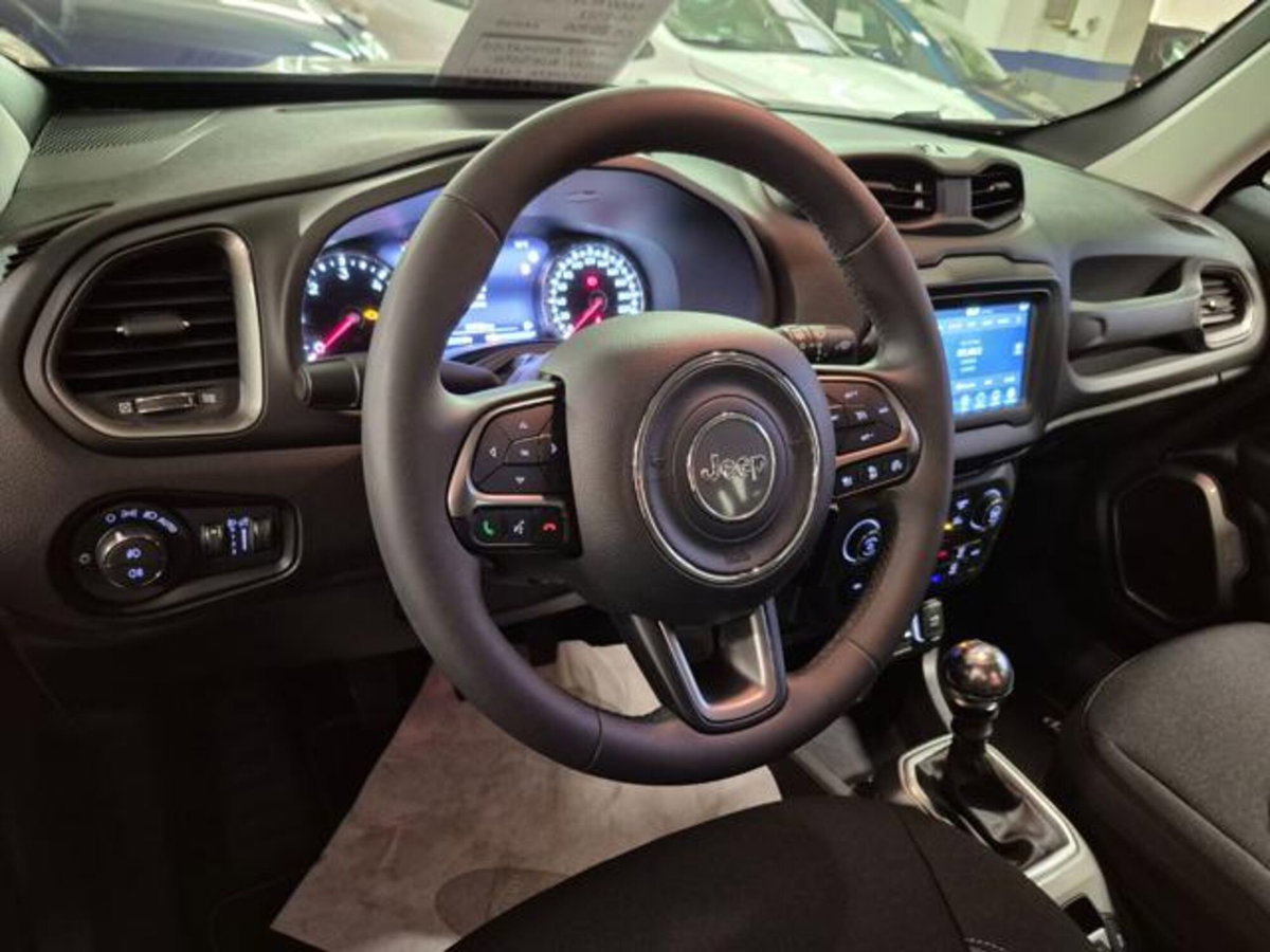 Jeep Renegade 1.6 Mjt 130 CV Limited (11)