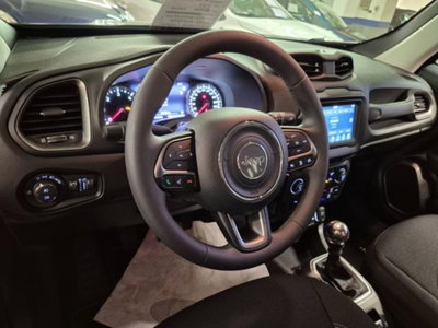Jeep Renegade 1.6 Mjt 130 CV Limited (11)