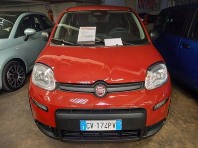 Fiat Panda 1.0 firefly hybrid s&s 70cv 5p.ti (12)