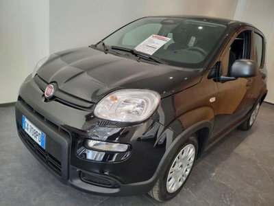 Fiat Panda 1.0 firefly hybrid s&s 70cv 5p.ti (2)