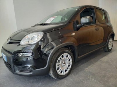 Fiat Panda 1.0 firefly hybrid s&s 70cv 5p.ti (3)