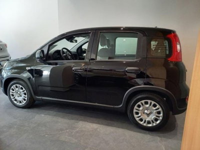 Fiat Panda 1.0 firefly hybrid s&s 70cv 5p.ti (4)