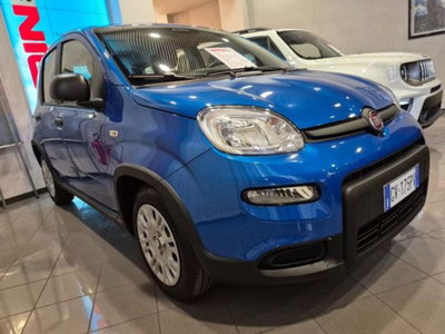 Fiat Panda 1.0 firefly hybrid s&s 70cv 5p.ti (3)