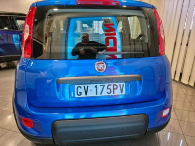 Fiat Panda 1.0 firefly hybrid s&s 70cv 5p.ti (6)