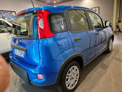 Fiat Panda 1.0 firefly hybrid s&s 70cv 5p.ti (7)