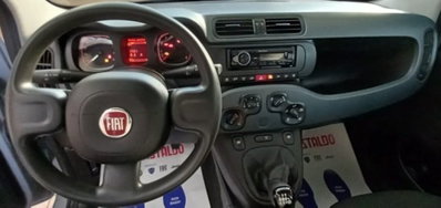 Fiat Panda 1.0 firefly hybrid s&s 70cv (8)