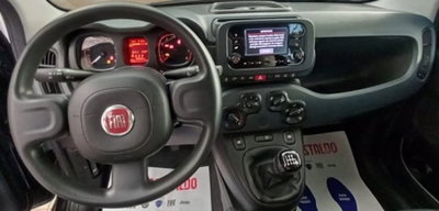 Fiat Panda 1.0 firefly hybrid s&s 70cv (7)