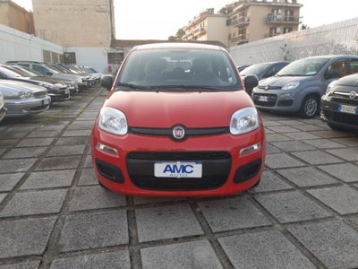 Fiat Panda 1.0 firefly hybrid s&s 70cv 5p.ti usata