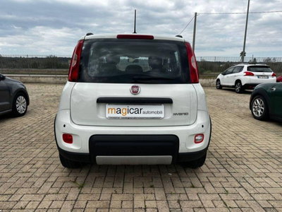 Fiat Panda Cross 1.0 firefly hybrid Cross s&s 70cv 5p.ti (5)