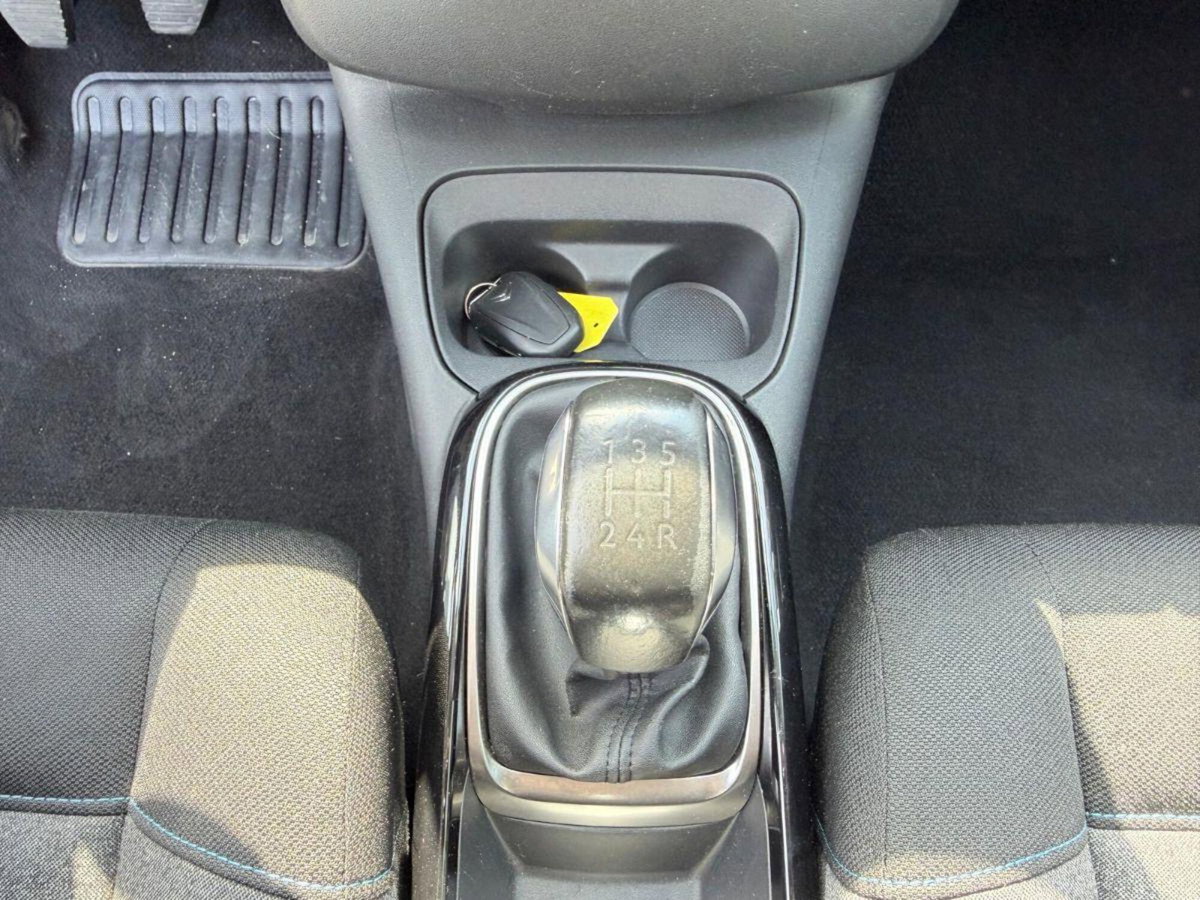 Citroen C4 Cactus PureTech 110 S&S Shine (17)
