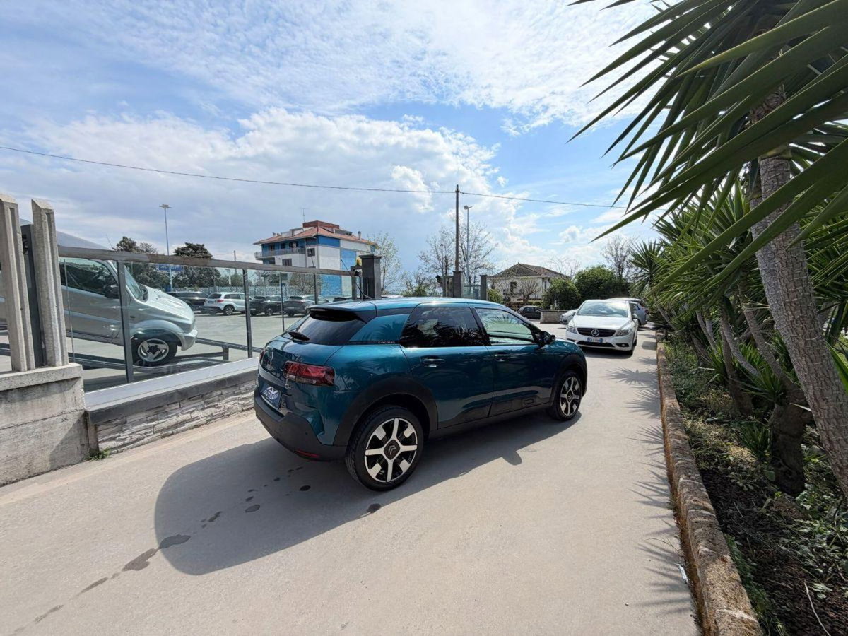 Citroen C4 Cactus PureTech 110 S&S Shine (3)