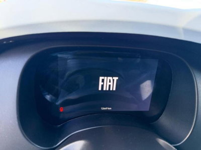 Fiat Panda Cross Cross 1.0 FireFly S&S Hybrid (7)