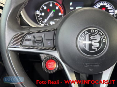 Alfa Romeo Stelvio Stelvio 2.2 Turbodiesel 190 CV AT8 Q4 Super Business (18)