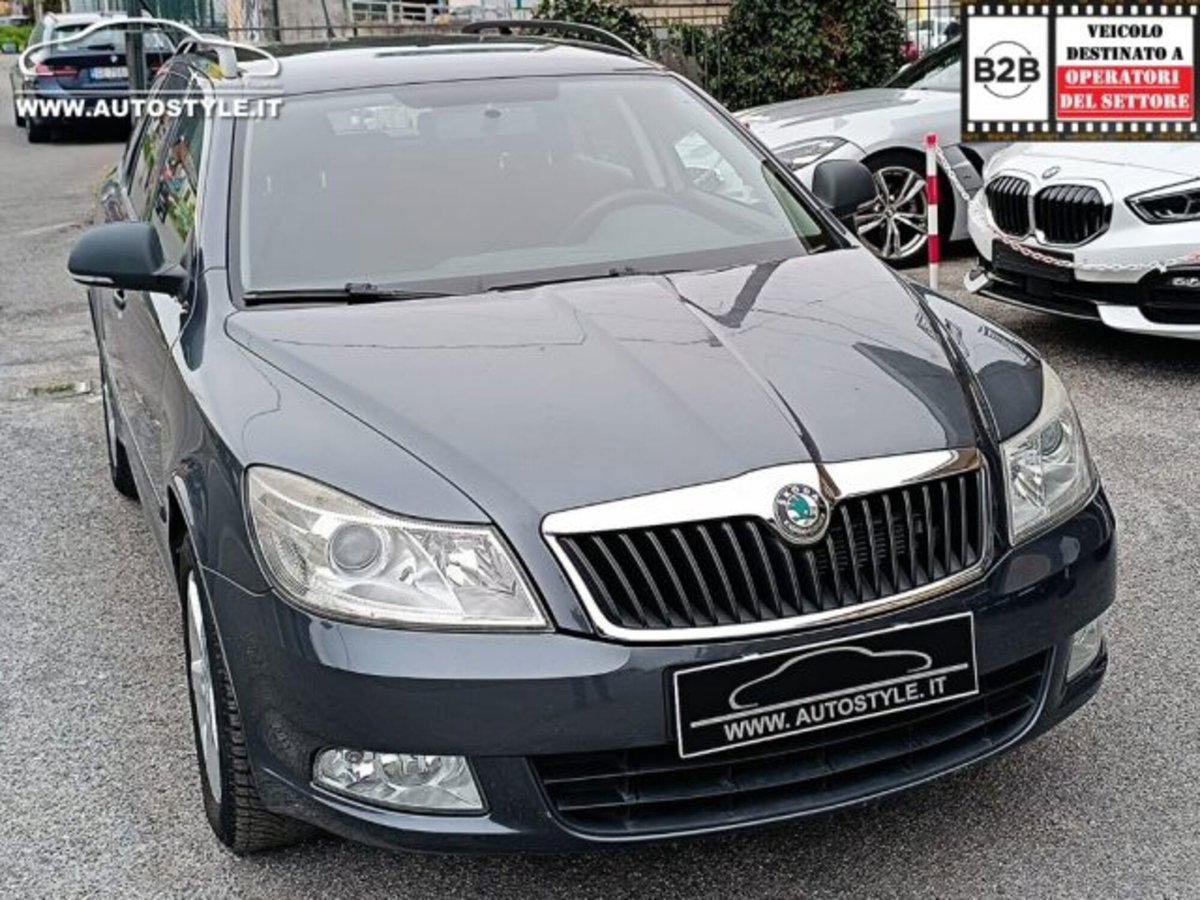 Skoda Octavia Station Wagon 1.6 TDI CR F.AP. 4x4 Wagon Ambition (19)
