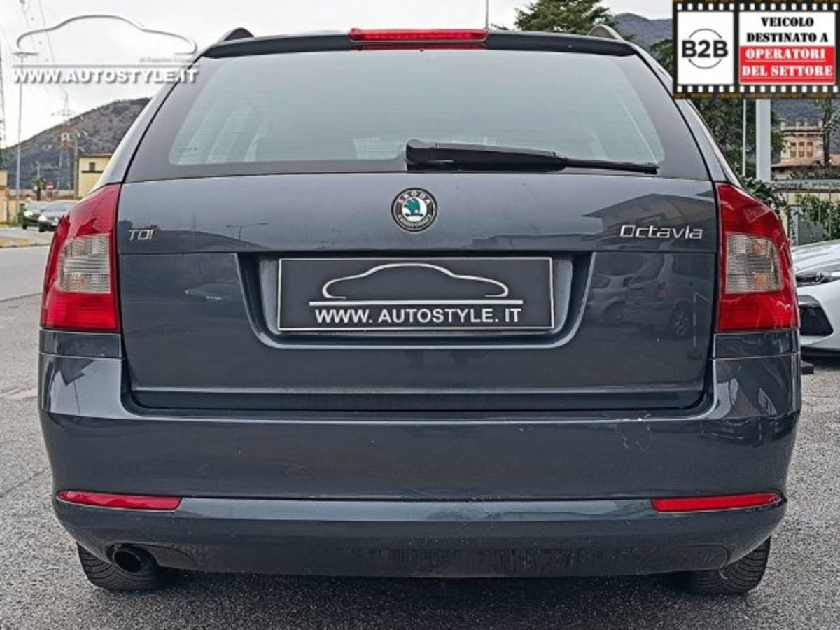 Skoda Octavia Station Wagon 1.6 TDI CR F.AP. 4x4 Wagon Ambition (8)