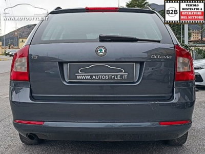 Skoda Octavia Station Wagon 1.6 TDI CR F.AP. Wagon Active (8)