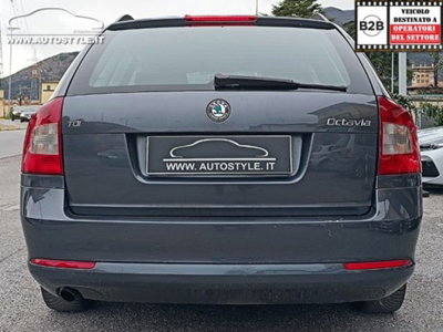 Skoda Octavia Station Wagon 1.6 TDI CR F.AP. Wagon Active (8)