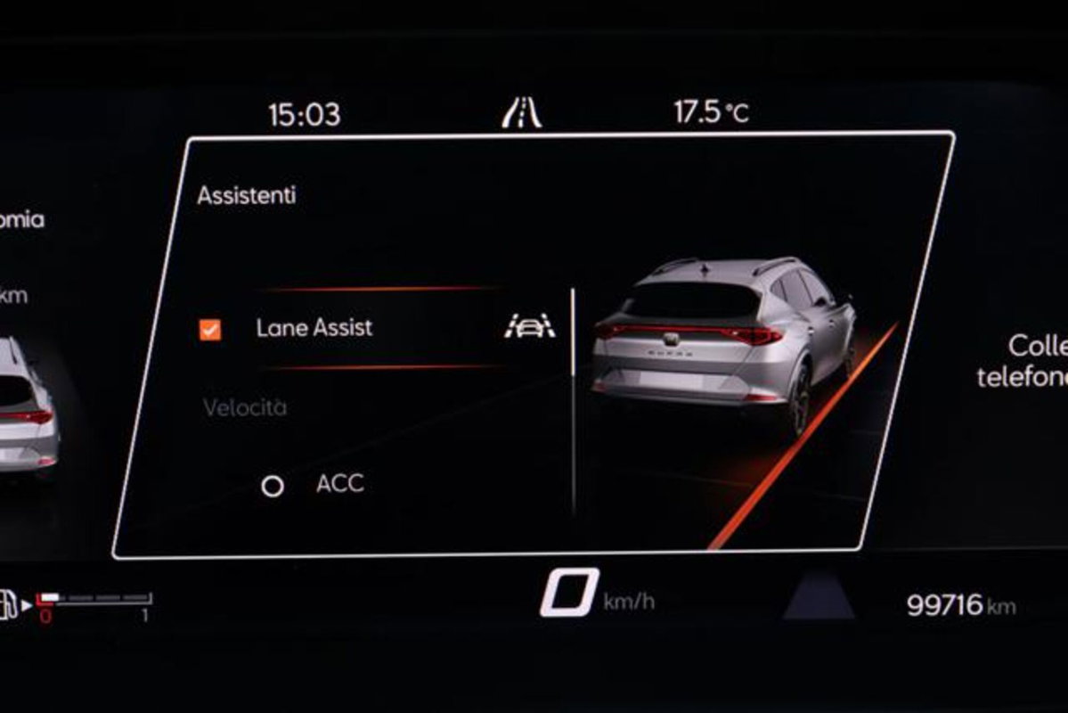 Cupra Formentor Formentor 2.0 TDI (11)