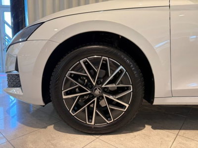 Skoda Octavia Station Wagon 2.0 tdi Selection 150cv dsg (3)
