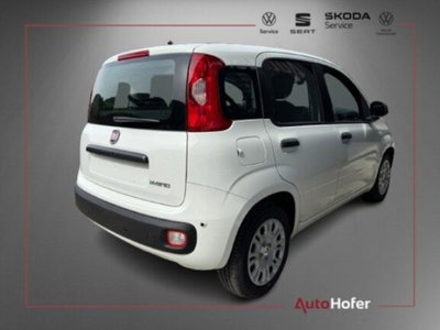 Fiat Pandina 1.0 firefly hybrid Icon s&s 65cv (3)